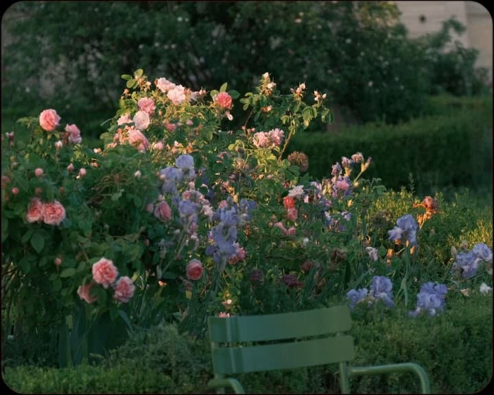 最近的思考 2026-3-1